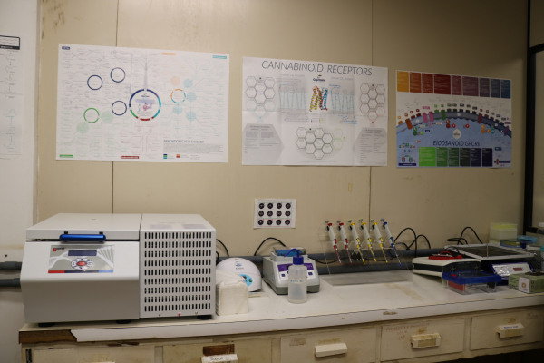 Visão da sala com equipamentos de bioquímica e biologia molecular para PCR e Western Blot.JPG